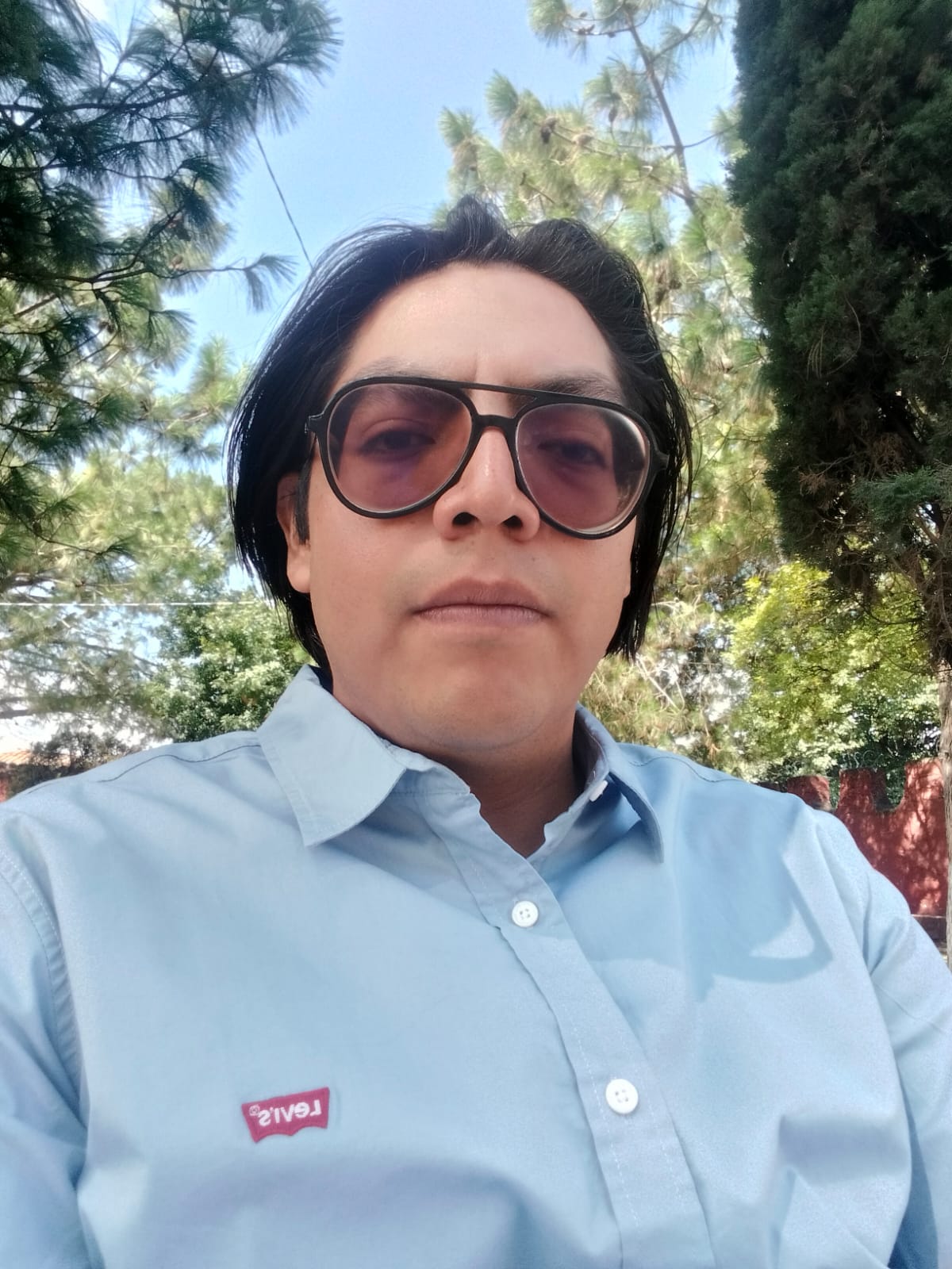 Ing Agrónomo. Luis Felipe de la Cruz Martínez