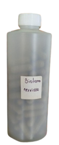 Cápsulas para el sistema nervioso