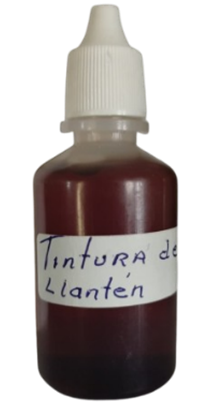 Tintura de Llantén